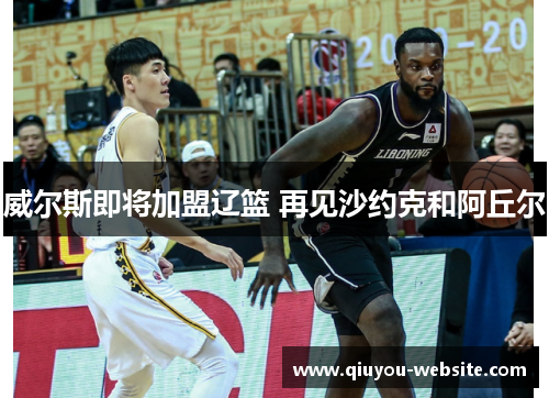 威尔斯即将加盟辽篮 再见沙约克和阿丘尔