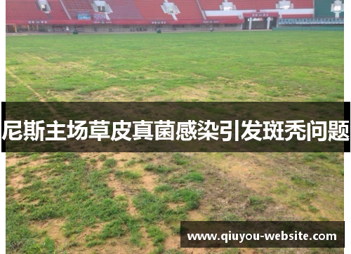 尼斯主场草皮真菌感染引发斑秃问题