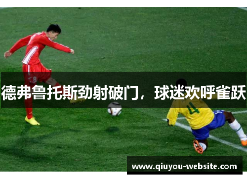 德弗鲁托斯劲射破门，球迷欢呼雀跃